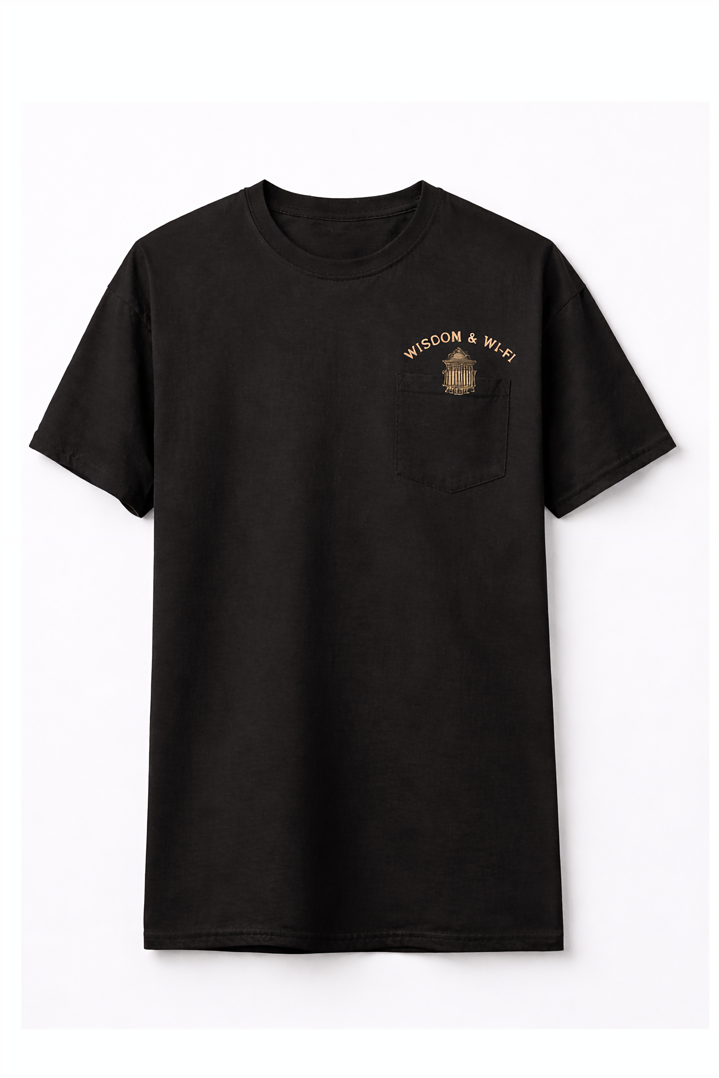 Ancient Mind Modern Metrics Philosopher Graphic T-Shirt